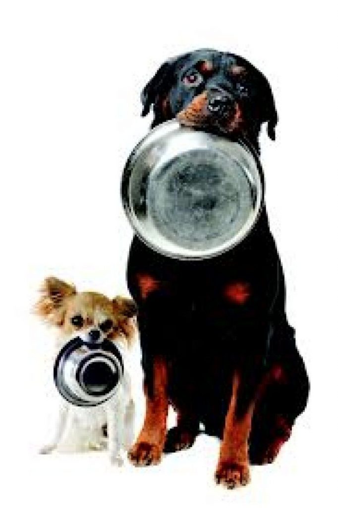 Alimentacion de los perros