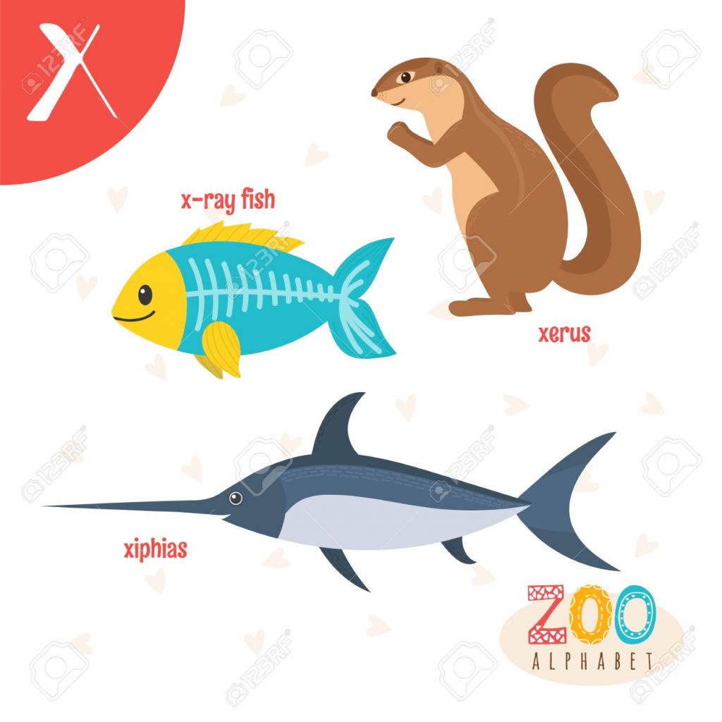 Animal que empiece por x