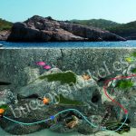 Cala salada como llegar