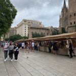 Col·legi darquitectes de catalunya