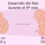 Cuantos dias son 9 meses