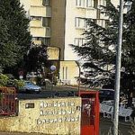 Dimision miembro comite de empresa