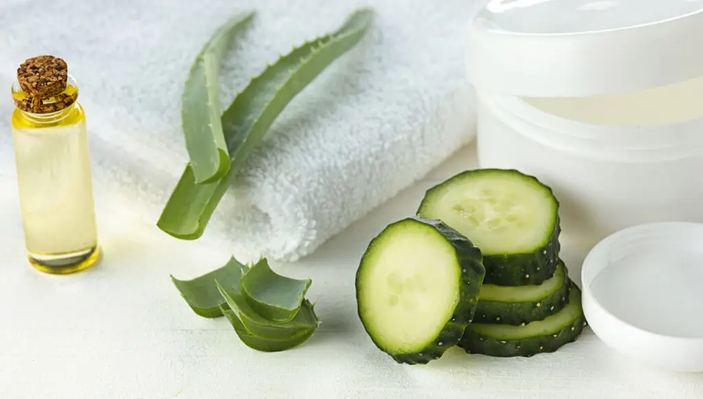 El pepino es una fruta