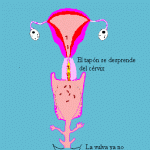 En que consiste el metodo billings