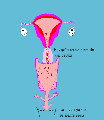 En que consiste el metodo billings