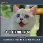 Frases fin de semana graciosas