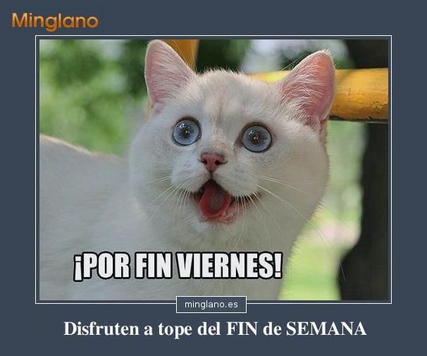 Frases fin de semana graciosas