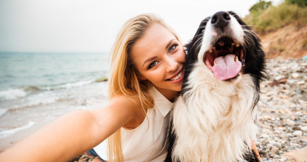Frases para perros instagram