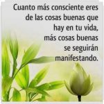 Gracias a la vida frases