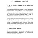 Justificacion de una empresa de servicios