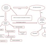 Mapa conceptual recursos naturales