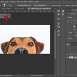 Quitar fondo blanco photoshop