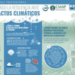 Cambio climático en inglés