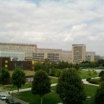 Carreras universitarias relacionadas con animales