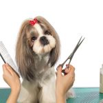 Como cortar el pelo a un perro que no se deja