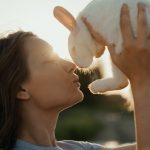 Como cuidar a un conejo