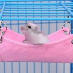 Como hacer una casa para hamster
