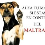 Definicion de maltrato animal