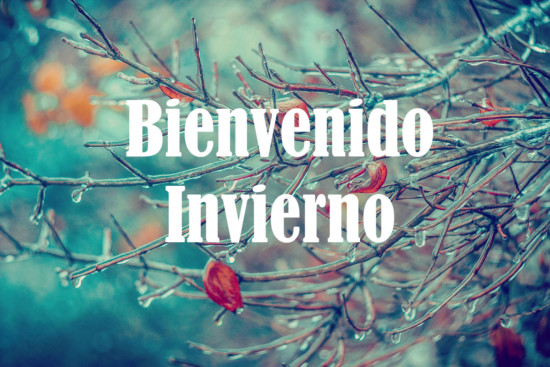 El invierno ya llego