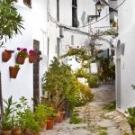 El jardin del califa vejer