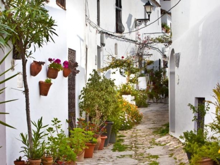 El jardin del califa vejer