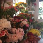 Floristeria margarita se llama mi amor