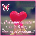 Frases de cariño y amor