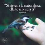 Frases de filosofos sobre la vida