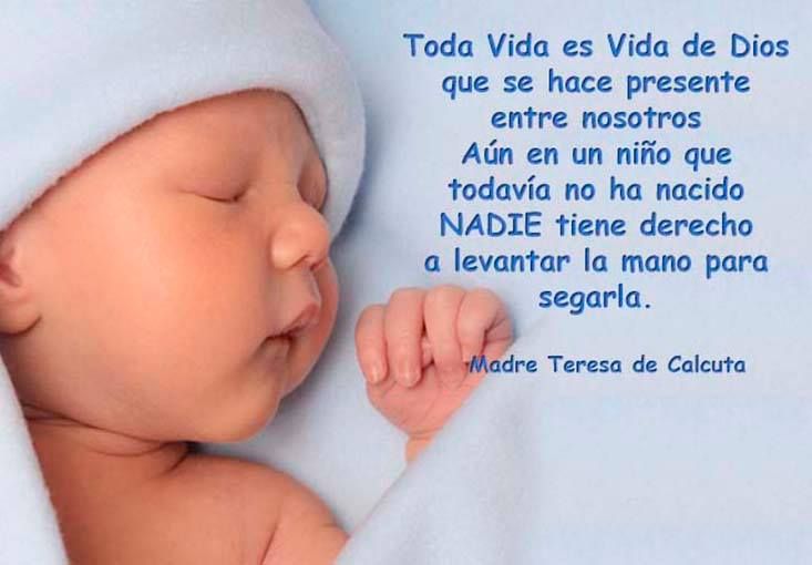Frases sobre el derecho a la vida