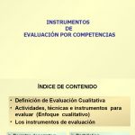Instrumentos de evaluacion cualitativa