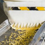 La fabrica de la pasta