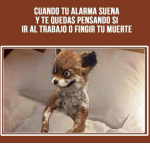 Memes de ir a trabajar