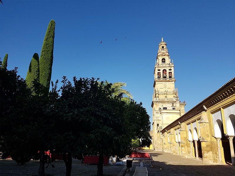 Mezquita de cordoba gratis cordobeses
