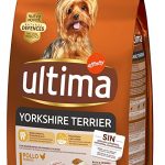 Mi perro vomita el pienso entero