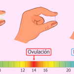 Moco cervical en el embarazo