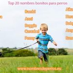Nombres de perra en euskera