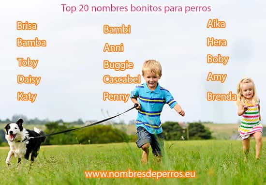 Nombres de perra en euskera