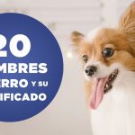 Nombres guays para perros
