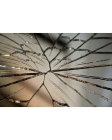 Peliculas de seguridad