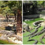 Que ver en torremolinos y alrededores