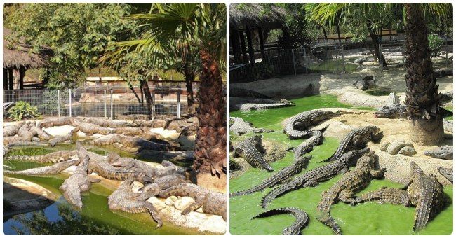 Que ver en torremolinos y alrededores
