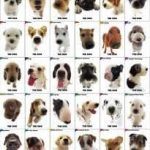 Razas de perros guardianes