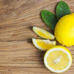 Remedio para pulgas en casa