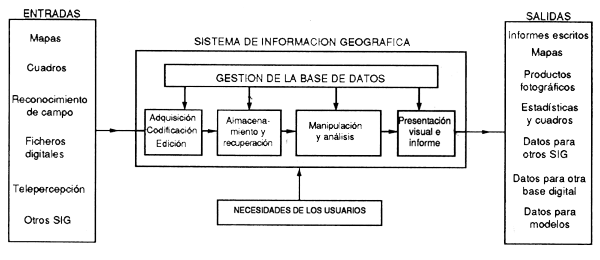 Tipos de sistema de información