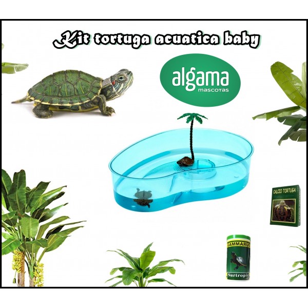 Tortugas pequeñas de agua