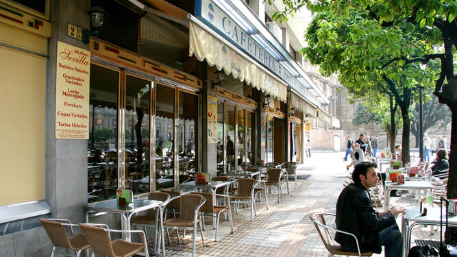 Avenida de la constitucion granada