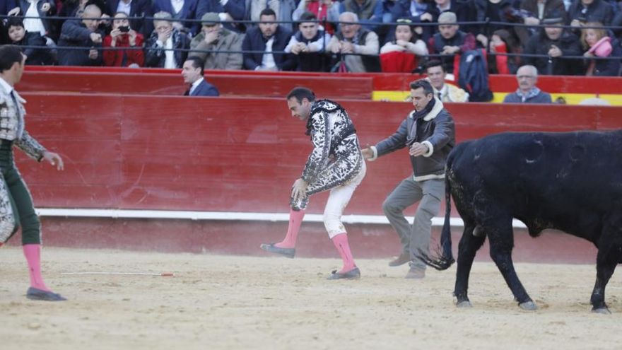 El toro no sufre