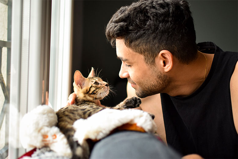 Gatos cariñosos con sus dueños