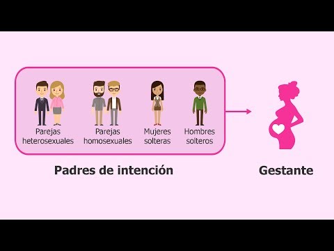 Gestacion subrogada en españa