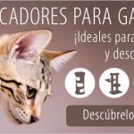 Medicamentos para gatos resfriados